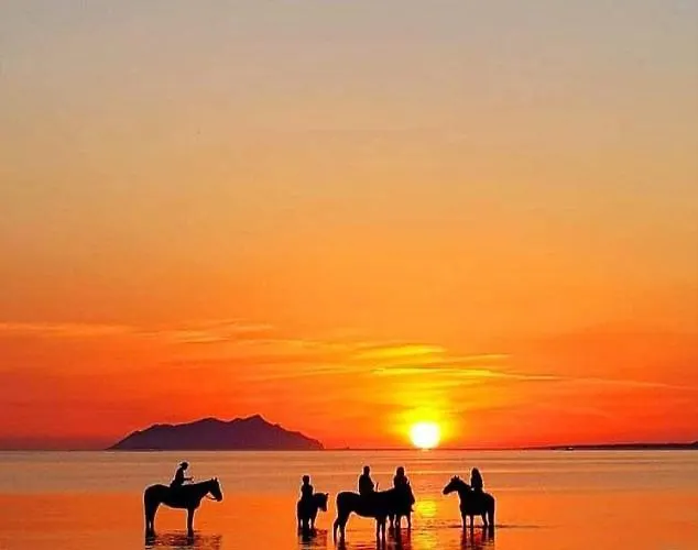 別荘 Dimora Punica *