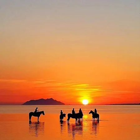 Tatil Evi Dimora Punica *